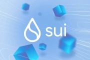 Sui's Record Growth: What It Is and Where It's Headed
