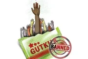 The Infrastructure Cost of Gutkha: Analyzing the Internet's Call for a National Ban