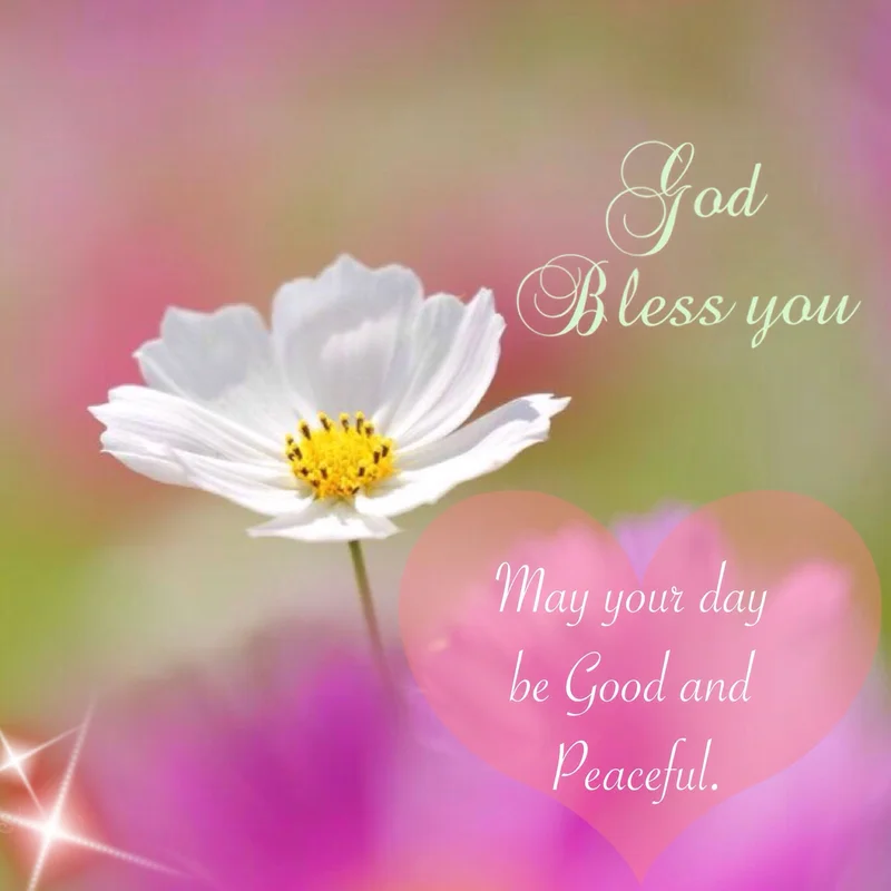 The 'Bless' Grift: From Crypto Pumps to Bibles Missing Amendments