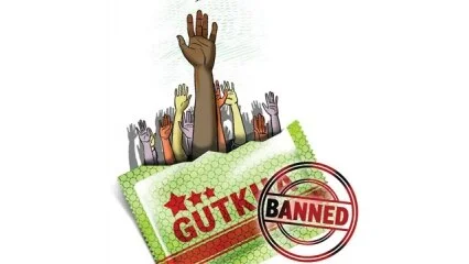 The Infrastructure Cost of Gutkha: Analyzing the Internet's Call for a National Ban