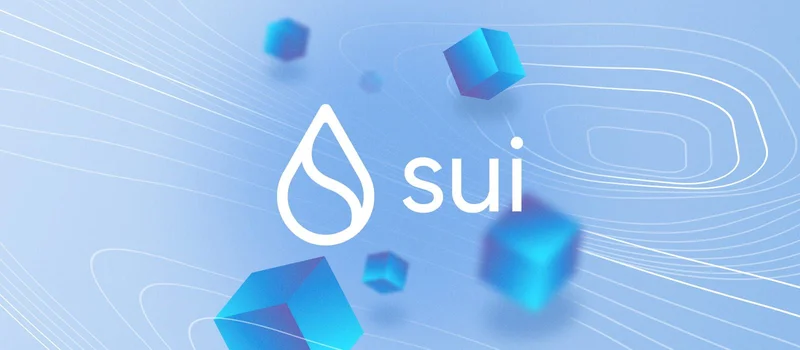 Sui's Record Growth: What It Is and Where It's Headed